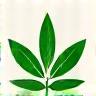 Health symbol icon